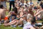 Thumbs/tn_Loungefest 2015 0140.jpg